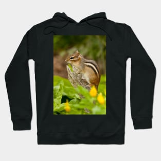 Chipmunk Hoodie